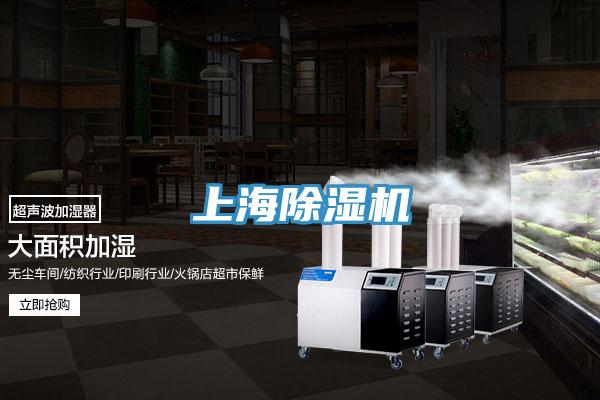 上海MR.好色破解版
