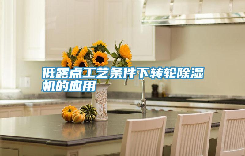 低露点工艺条件下转轮MR.好色破解版的应用