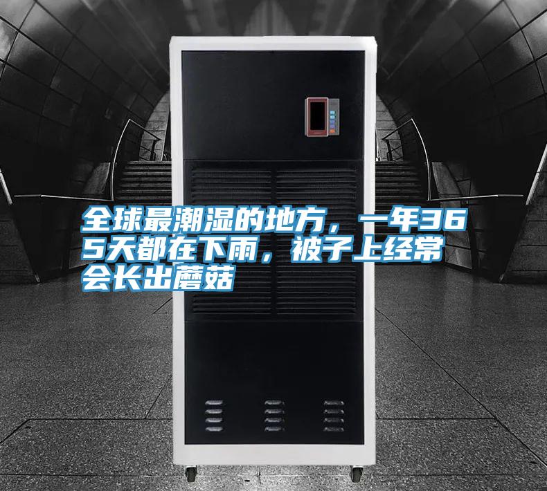 全球最潮湿的地方，一年365天都在下雨，被子上经常会长出蘑菇