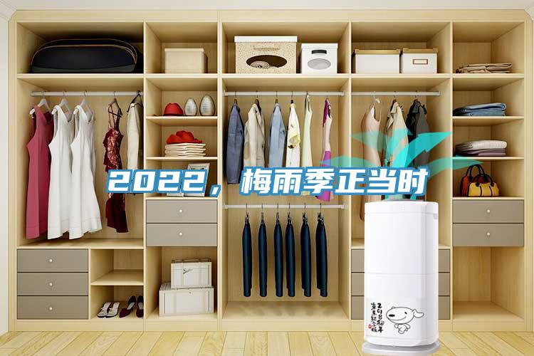 2022，梅雨季正当时