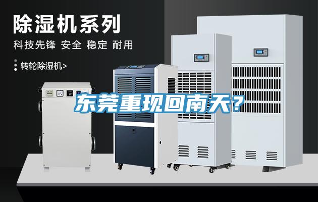 东莞重现回南天？