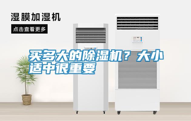 买多大的MR.好色破解版？大小适中很重要
