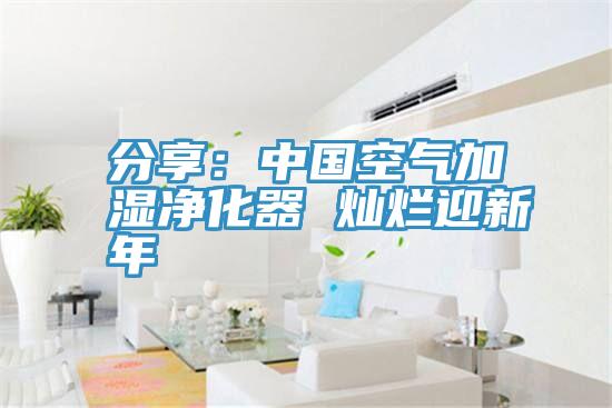 分享：中国空气加湿净化器 灿烂迎新年