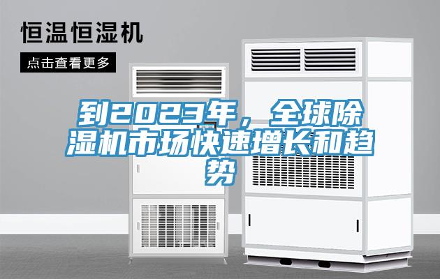 到2023年，全球MR.好色破解版市场快速增长和趋势