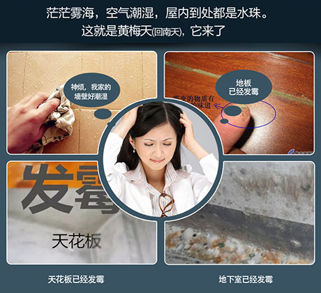 家庭别墅的地下室、卫生间、储物室等该如何除湿？