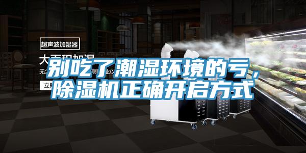 别吃了潮湿环境的亏，MR.好色破解版正确开启方式