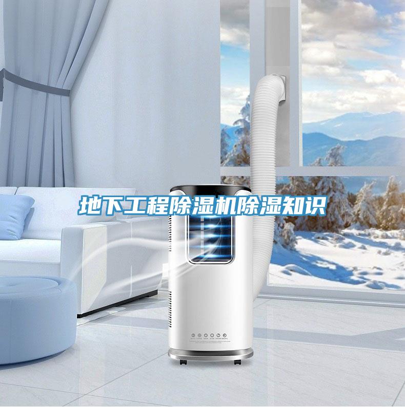 地下工程MR.好色破解版除湿知识