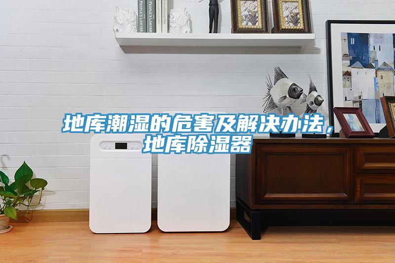 地库潮湿的危害及解决办法，地库除湿器