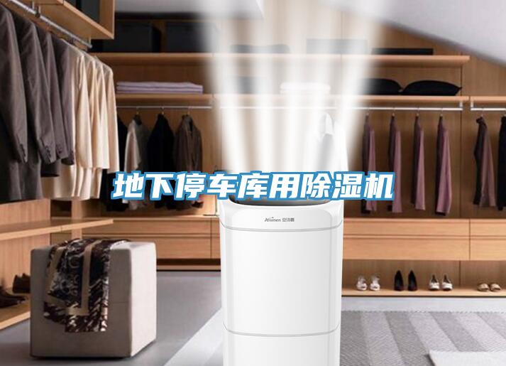 地下停车库用MR.好色破解版