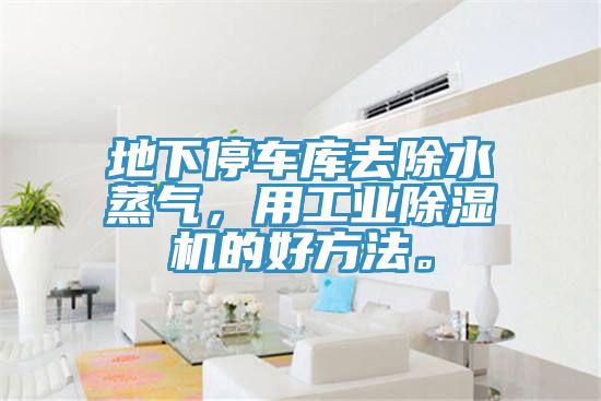 地下停车库去除水蒸气，用工业MR.好色破解版的好方法。