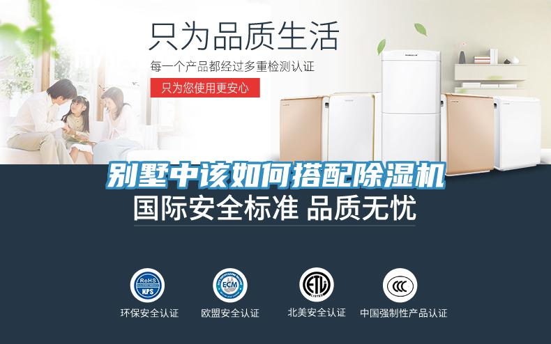 别墅中该如何搭配MR.好色破解版