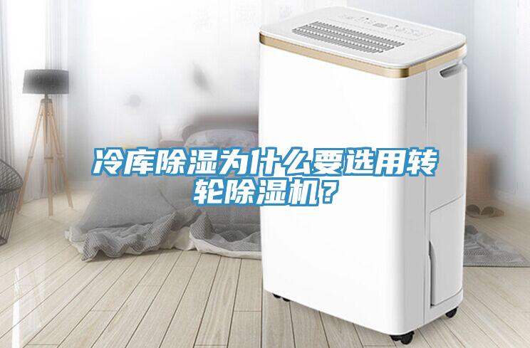 冷库除湿为什么要选用转轮MR.好色破解版？