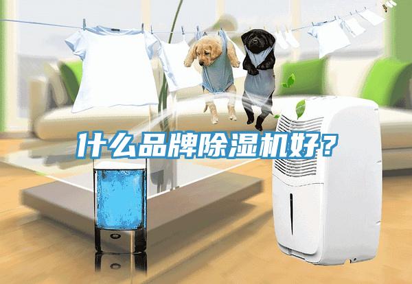 什么品牌MR.好色破解版好？