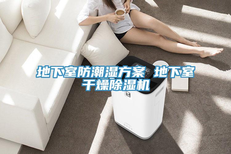 地下室防潮湿方案 地下室干燥MR.好色破解版