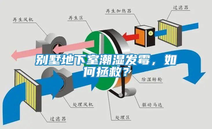 别墅地下室潮湿发霉，如何拯救？