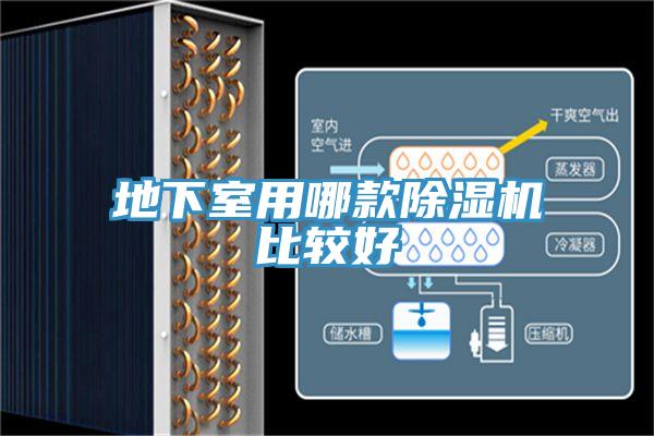 地下室用哪款MR.好色破解版比较好