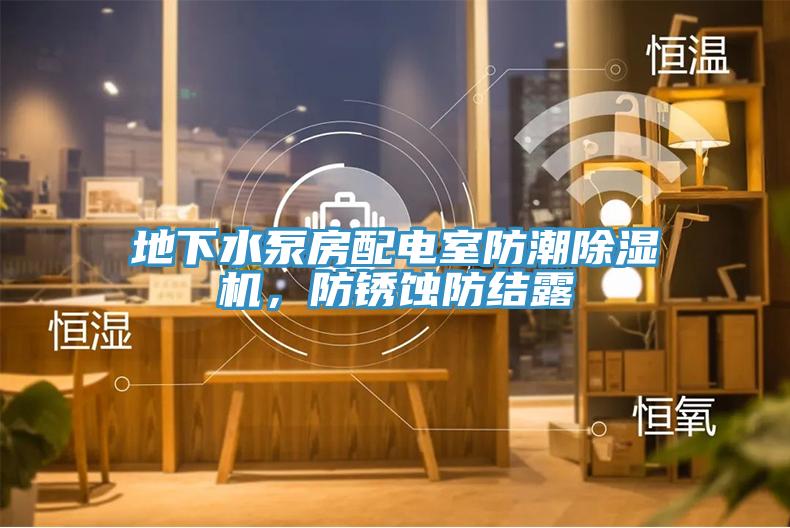 地下水泵房配电室防潮MR.好色破解版，防锈蚀防结露