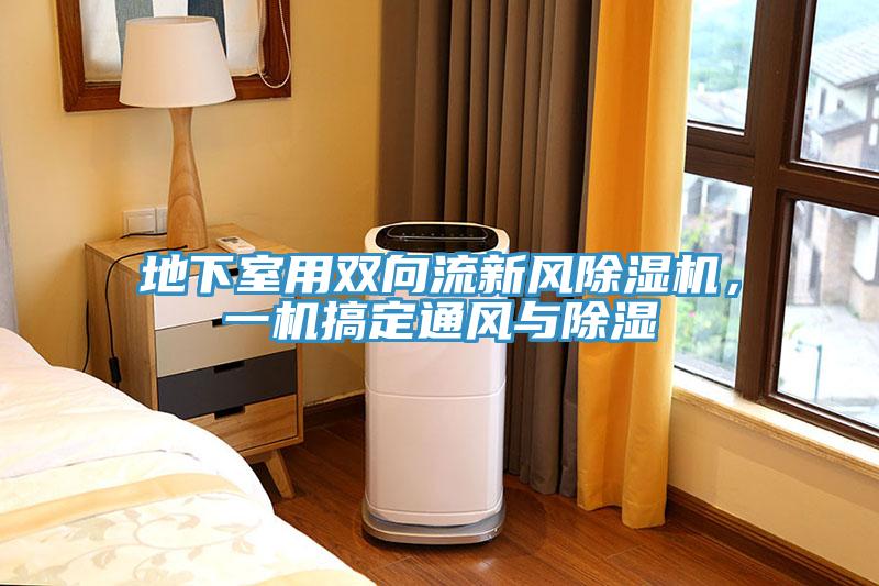 地下室用双向流新风MR.好色破解版，一机搞定通风与除湿