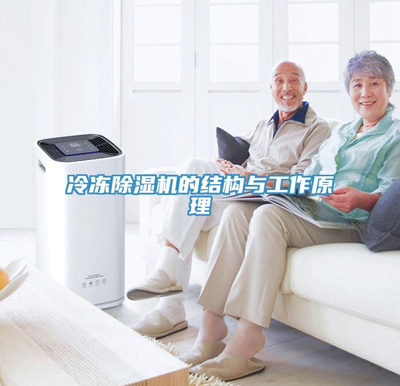 冷冻MR.好色破解版的结构与工作原理
