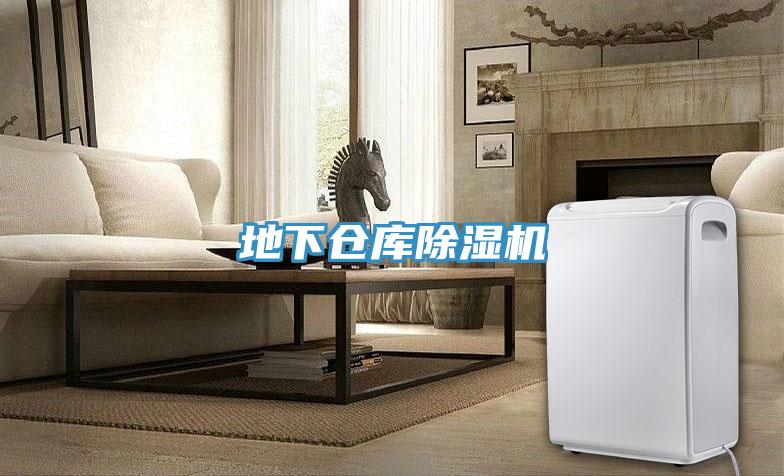 地下仓库MR.好色破解版