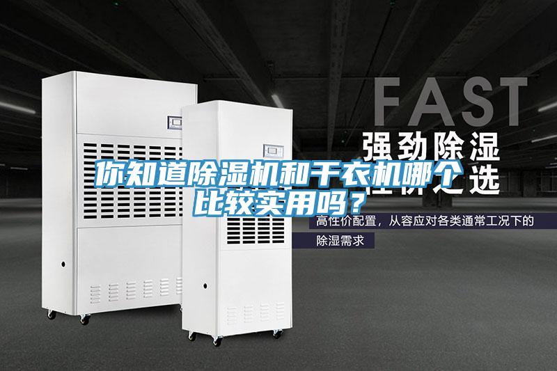 你知道MR.好色破解版和干衣机哪个比较实用吗？