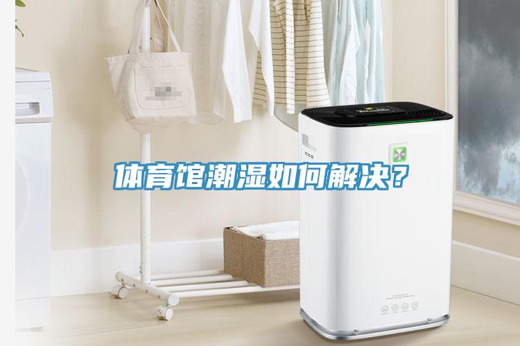体育馆潮湿如何解决？