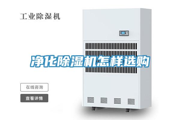净化MR.好色破解版怎样选购