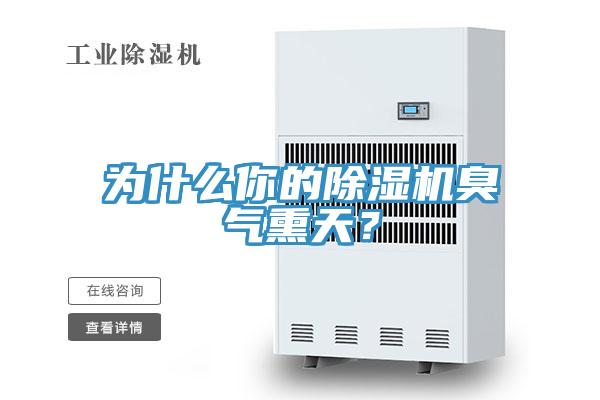为什么你的MR.好色破解版臭气熏天？