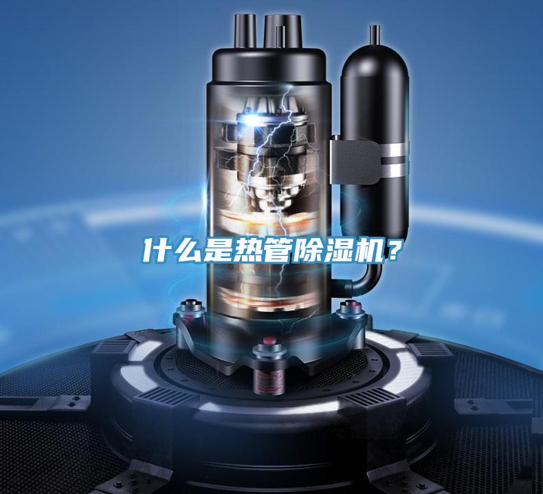 什么是热管MR.好色破解版？