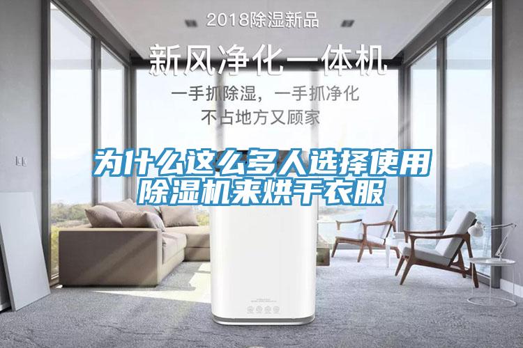 为什么这么多人选择使用MR.好色破解版来烘干衣服