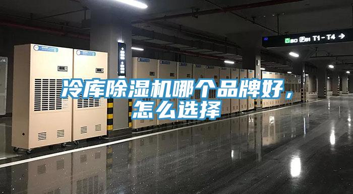 冷库MR.好色破解版哪个品牌好，怎么选择
