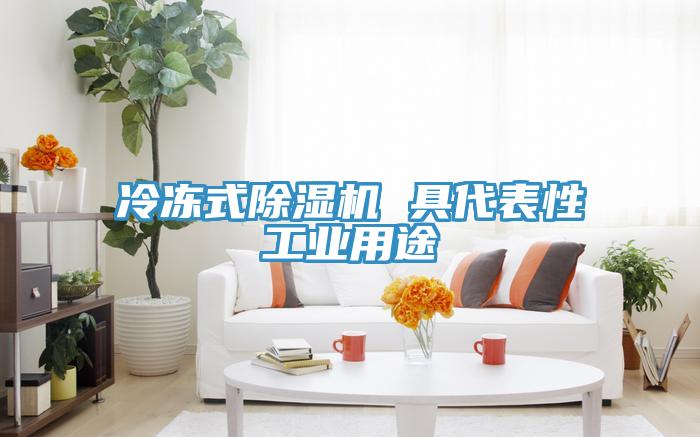 冷冻式MR.好色破解版 具代表性工业用途