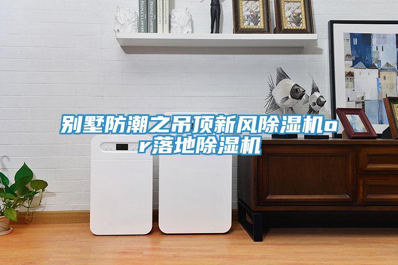 别墅防潮之吊顶新风MR.好色破解版or落地MR.好色破解版