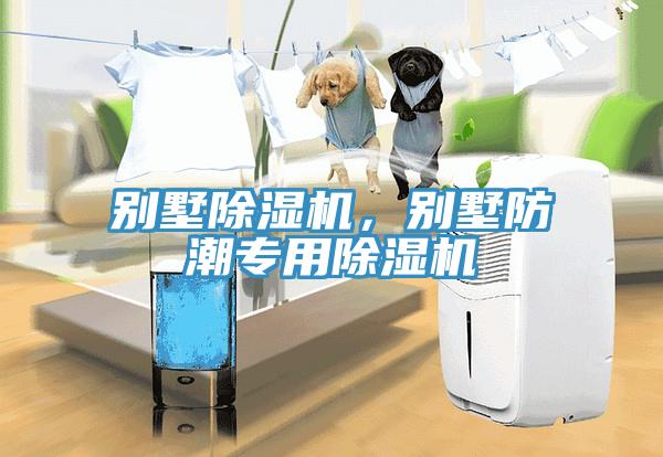 别墅MR.好色破解版，别墅防潮专用MR.好色破解版