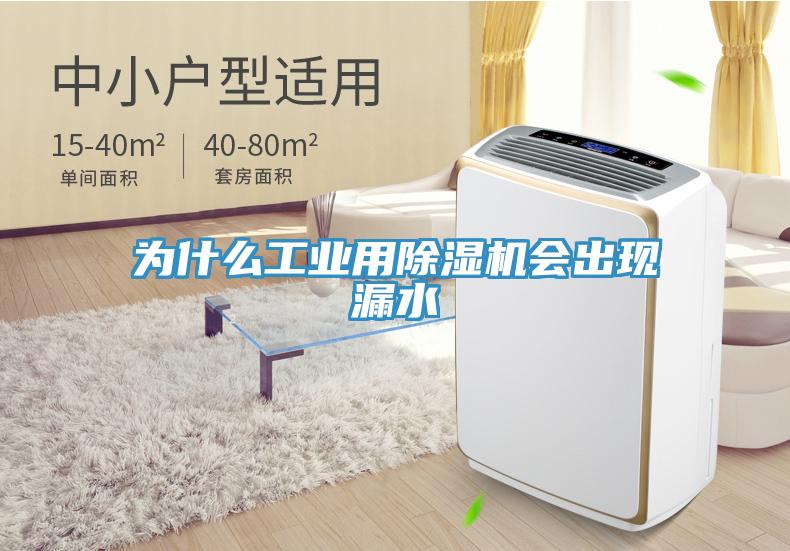 为什么工业用MR.好色破解版会出现漏水