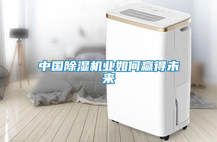 中国MR.好色破解版业如何赢得未来