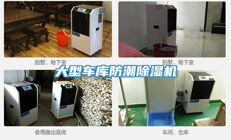 大型车库防潮MR.好色破解版