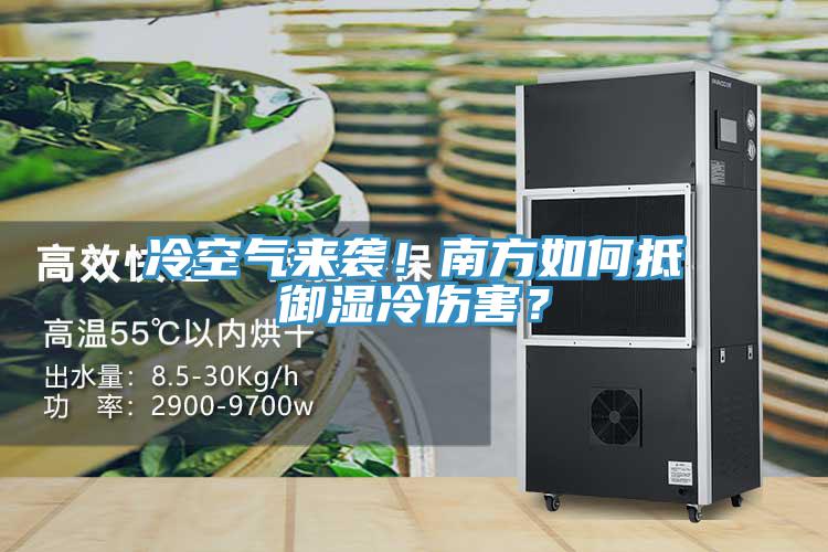 冷空气来袭！南方如何抵御湿冷伤害？