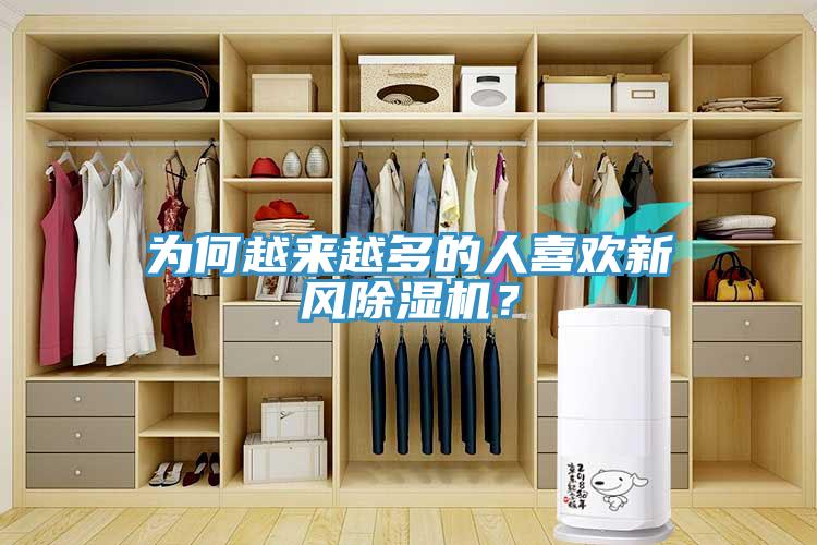 为何越来越多的人喜欢新风MR.好色破解版？