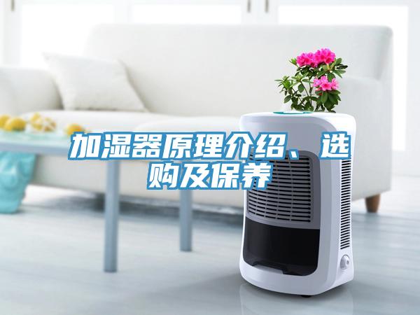 加湿器原理介绍、选购及保养