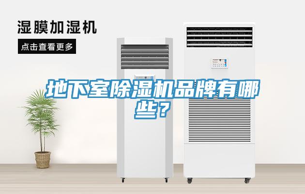 地下室MR.好色破解版品牌有哪些？