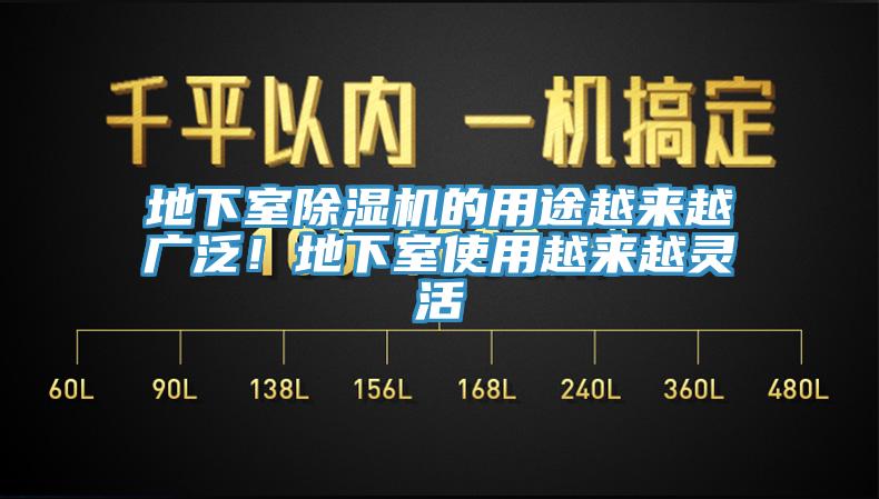 地下室MR.好色破解版的用途越来越广泛！地下室使用越来越灵活