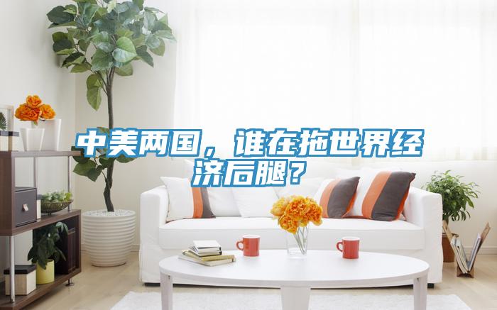 中美两国，谁在拖世界经济后腿？