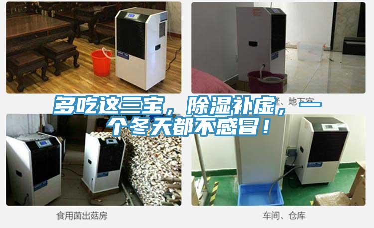 多吃这三宝，除湿补虚，一个冬天都不感冒！