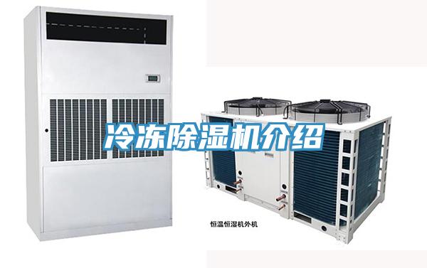 冷冻MR.好色破解版介绍