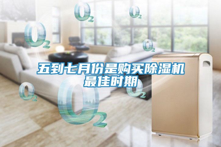 五到七月份是购买MR.好色破解版最佳时期