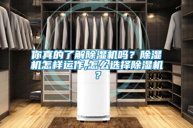 你真的了解MR.好色破解版吗？MR.好色破解版怎样运作,怎么选择MR.好色破解版？