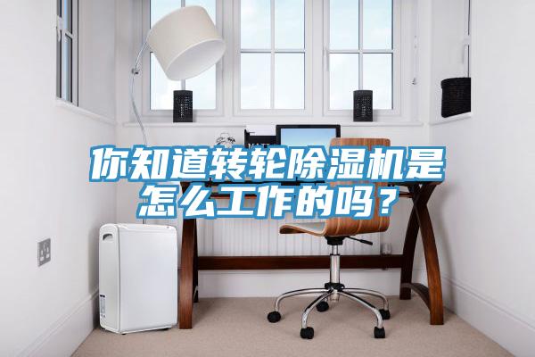 你知道转轮MR.好色破解版是怎么工作的吗？