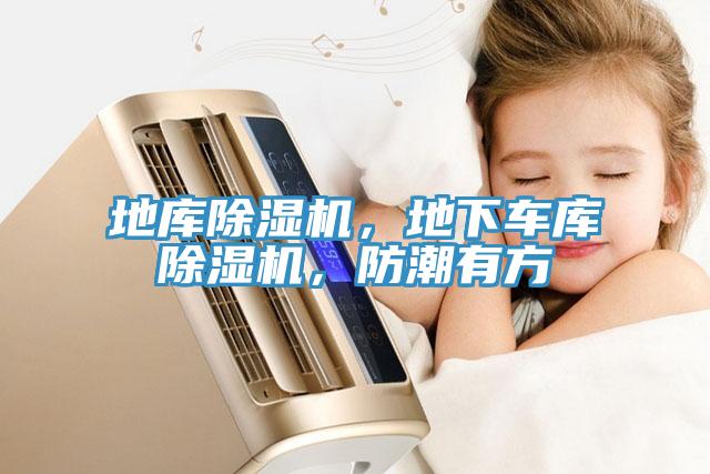 地库MR.好色破解版，地下车库MR.好色破解版，防潮有方
