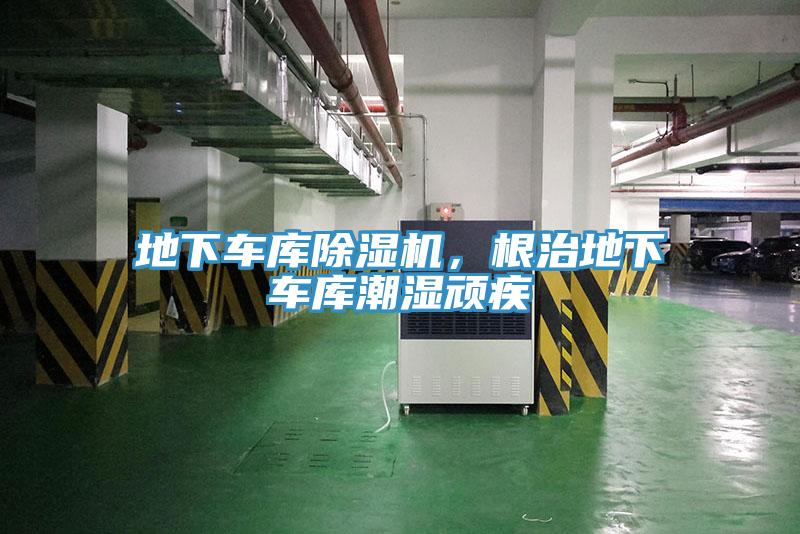 地下车库MR.好色破解版，根治地下车库潮湿顽疾